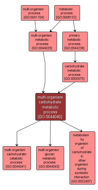 GO:0044040 - multi-organism carbohydrate metabolic process (interactive image map)