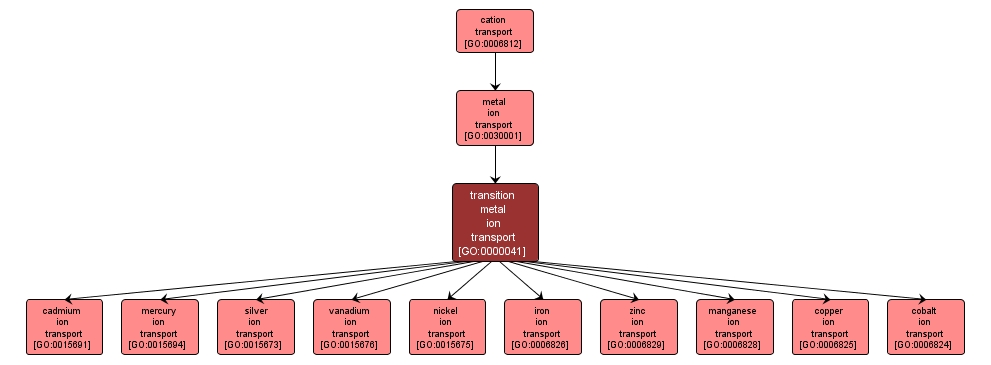 GO:0000041 - transition metal ion transport (interactive image map)