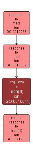 GO:0010041 - response to iron(III) ion (interactive image map)