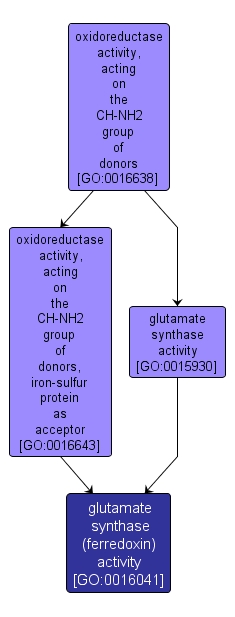 GO:0016041 - glutamate synthase (ferredoxin) activity (interactive image map)