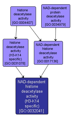 GO:0032041 - NAD-dependent histone deacetylase activity (H3-K14 specific) (interactive image map)