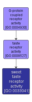 GO:0033041 - sweet taste receptor activity (interactive image map)