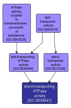 GO:0034041 - sterol-transporting ATPase activity (interactive image map)