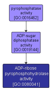GO:0080041 - ADP-ribose pyrophosphohydrolase activity (interactive image map)