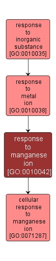 GO:0010042 - response to manganese ion (interactive image map)