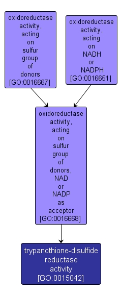 GO:0015042 - trypanothione-disulfide reductase activity (interactive image map)