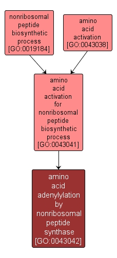 GO:0043042 - amino acid adenylylation by nonribosomal peptide synthase (interactive image map)