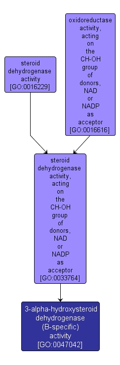 GO:0047042 - 3-alpha-hydroxysteroid dehydrogenase (B-specific) activity (interactive image map)