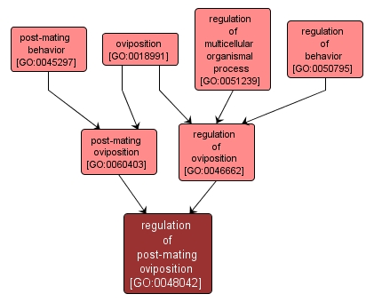 GO:0048042 - regulation of post-mating oviposition (interactive image map)