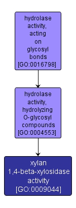 GO:0009044 - xylan 1,4-beta-xylosidase activity (interactive image map)