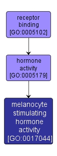 GO:0017044 - melanocyte stimulating hormone activity (interactive image map)