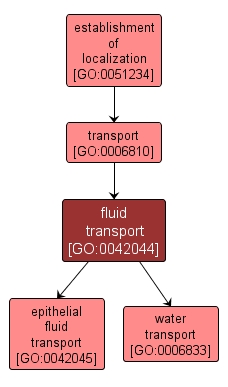 GO:0042044 - fluid transport (interactive image map)