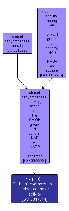 GO:0047044 - 3-alpha(or 20-beta)-hydroxysteroid dehydrogenase activity (interactive image map)