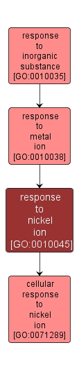 GO:0010045 - response to nickel ion (interactive image map)