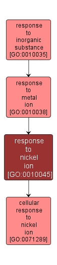 GO:0010045 - response to nickel ion (interactive image map)