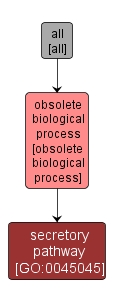 GO:0045045 - secretory pathway (interactive image map)