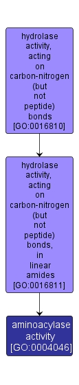 GO:0004046 - aminoacylase activity (interactive image map)