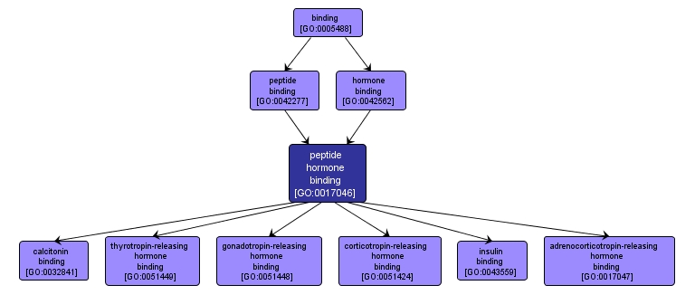 GO:0017046 - peptide hormone binding (interactive image map)