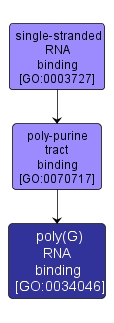 GO:0034046 - poly(G) RNA binding (interactive image map)
