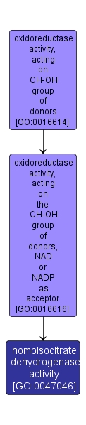 GO:0047046 - homoisocitrate dehydrogenase activity (interactive image map)