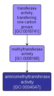 GO:0004047 - aminomethyltransferase activity (interactive image map)