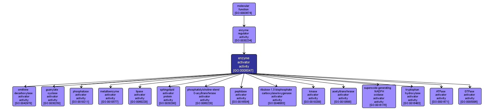 GO:0008047 - enzyme activator activity (interactive image map)