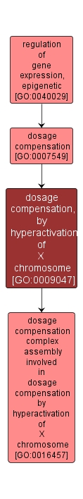 GO:0009047 - dosage compensation, by hyperactivation of X chromosome (interactive image map)