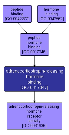 GO:0017047 - adrenocorticotropin-releasing hormone binding (interactive image map)