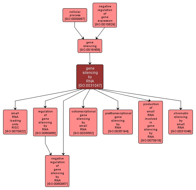 GO:0031047 - gene silencing by RNA (interactive image map)
