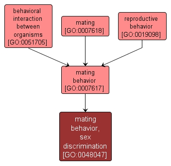 GO:0048047 - mating behavior, sex discrimination (interactive image map)