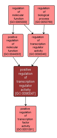 GO:0090047 - positive regulation of transcription regulator activity (interactive image map)