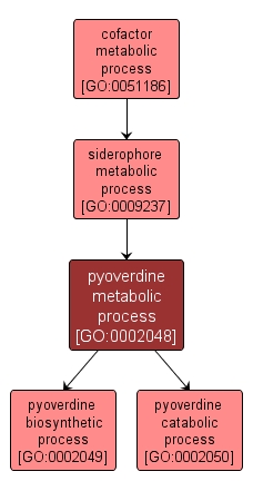 GO:0002048 - pyoverdine metabolic process (interactive image map)