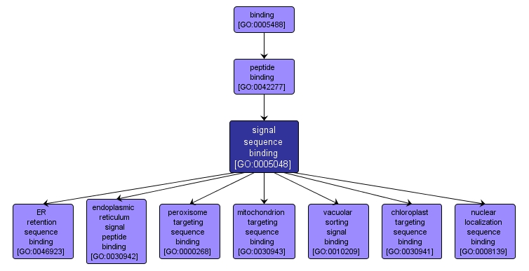 GO:0005048 - signal sequence binding (interactive image map)