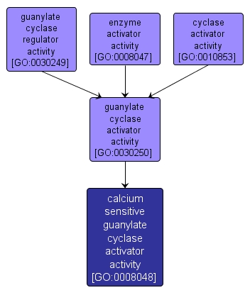 GO:0008048 - calcium sensitive guanylate cyclase activator activity (interactive image map)