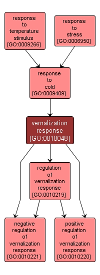 GO:0010048 - vernalization response (interactive image map)
