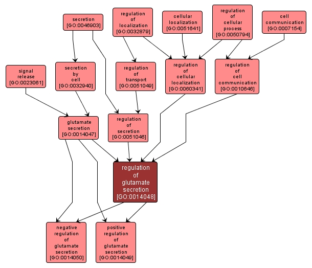 GO:0014048 - regulation of glutamate secretion (interactive image map)