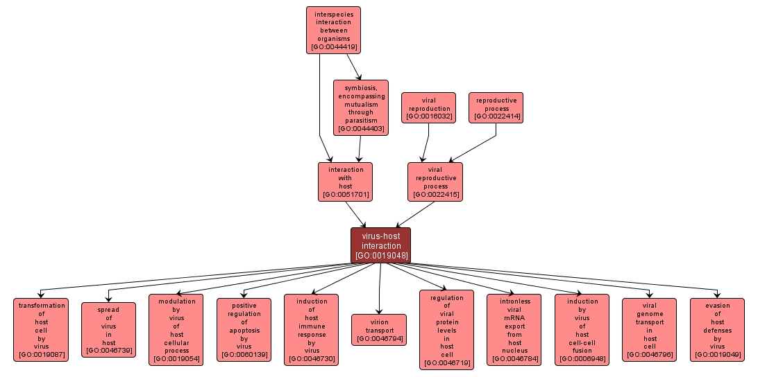 GO:0019048 - virus-host interaction (interactive image map)