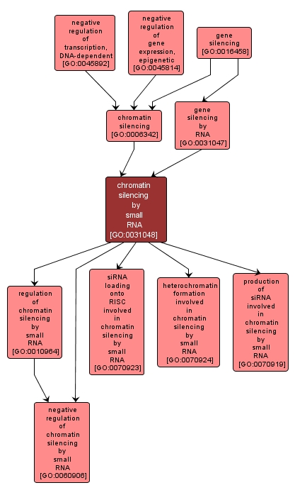 GO:0031048 - chromatin silencing by small RNA (interactive image map)