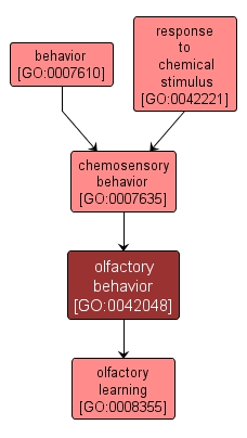 GO:0042048 - olfactory behavior (interactive image map)
