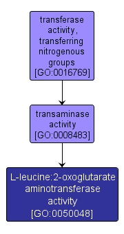 GO:0050048 - L-leucine:2-oxoglutarate aminotransferase activity (interactive image map)