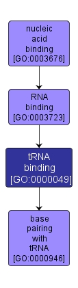 GO:0000049 - tRNA binding (interactive image map)