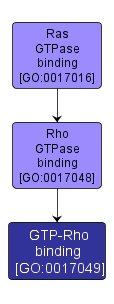 GO:0017049 - GTP-Rho binding (interactive image map)