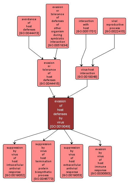 GO:0019049 - evasion of host defenses by virus (interactive image map)