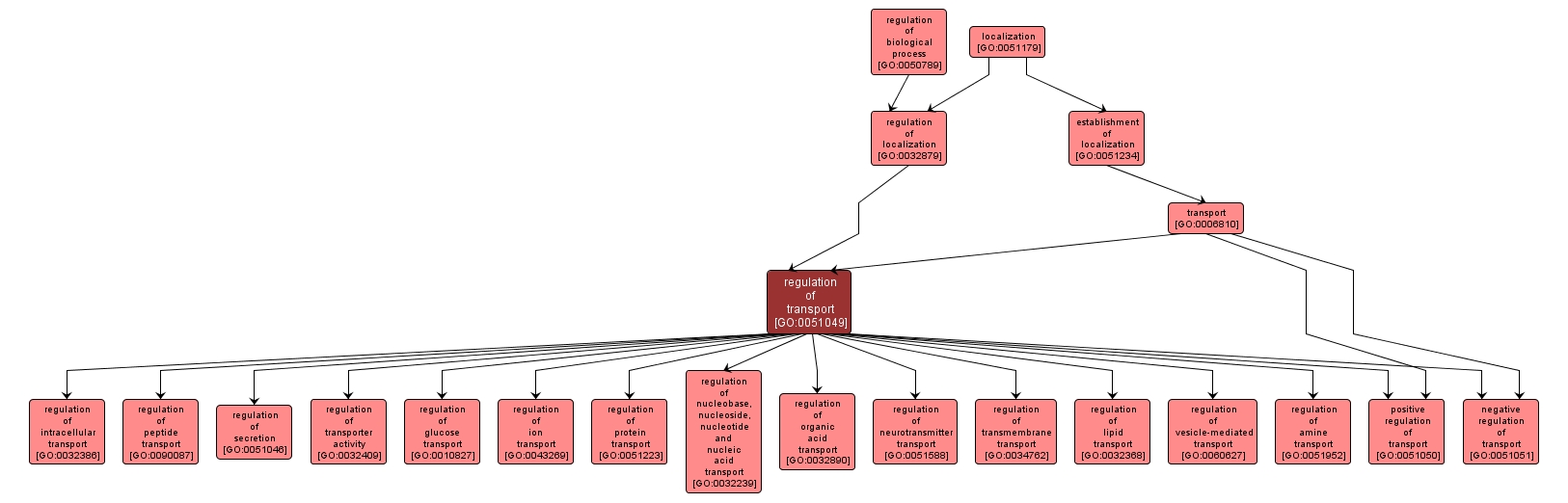 GO:0051049 - regulation of transport (interactive image map)