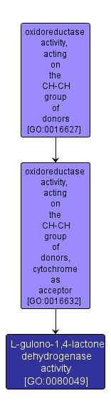 GO:0080049 - L-gulono-1,4-lactone dehydrogenase activity (interactive image map)