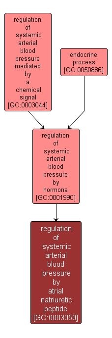 GO:0003050 - regulation of systemic arterial blood pressure by atrial natriuretic peptide (interactive image map)