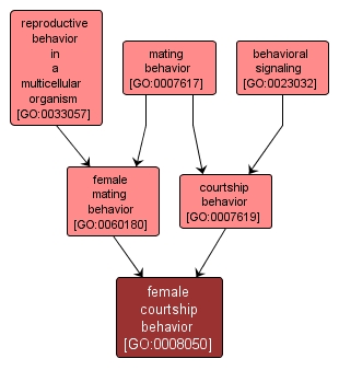 GO:0008050 - female courtship behavior (interactive image map)