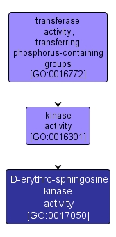 GO:0017050 - D-erythro-sphingosine kinase activity (interactive image map)