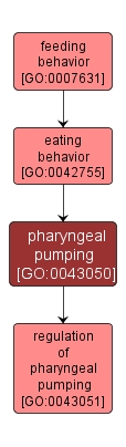 GO:0043050 - pharyngeal pumping (interactive image map)