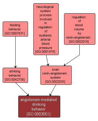 GO:0003051 - angiotensin-mediated drinking behavior (interactive image map)